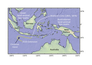 wallace line